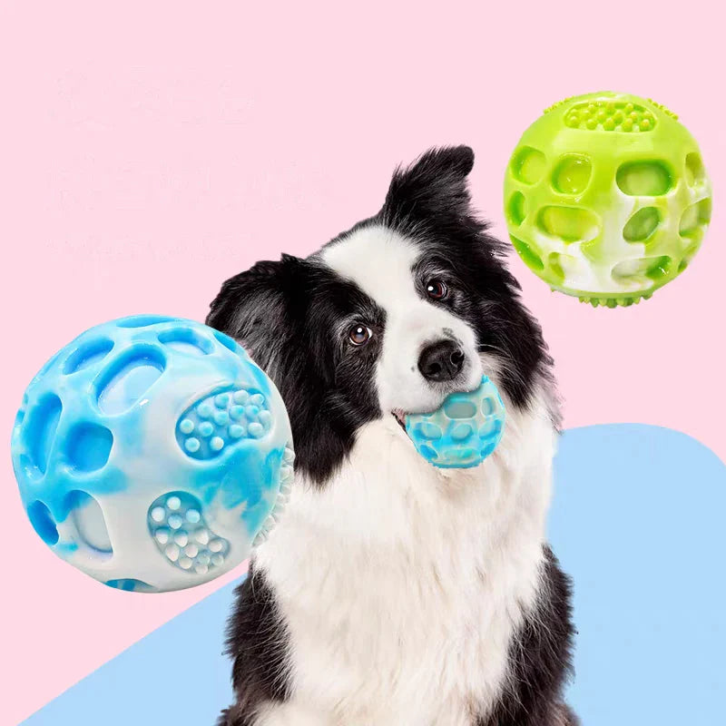 Pet dog toys are sturdy and durable, can alleviate teething discomfort, and are suitable for use during outdoor training.