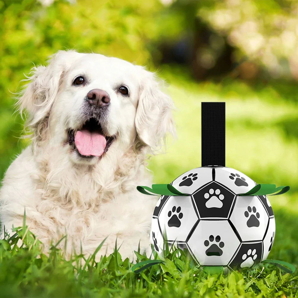 Pet Dog Toys For Small Medium Dogs Cats Portable Puppy Ball Toys with Air Pump Interactive Dog Toys Outdoor Pug Pet Accessories