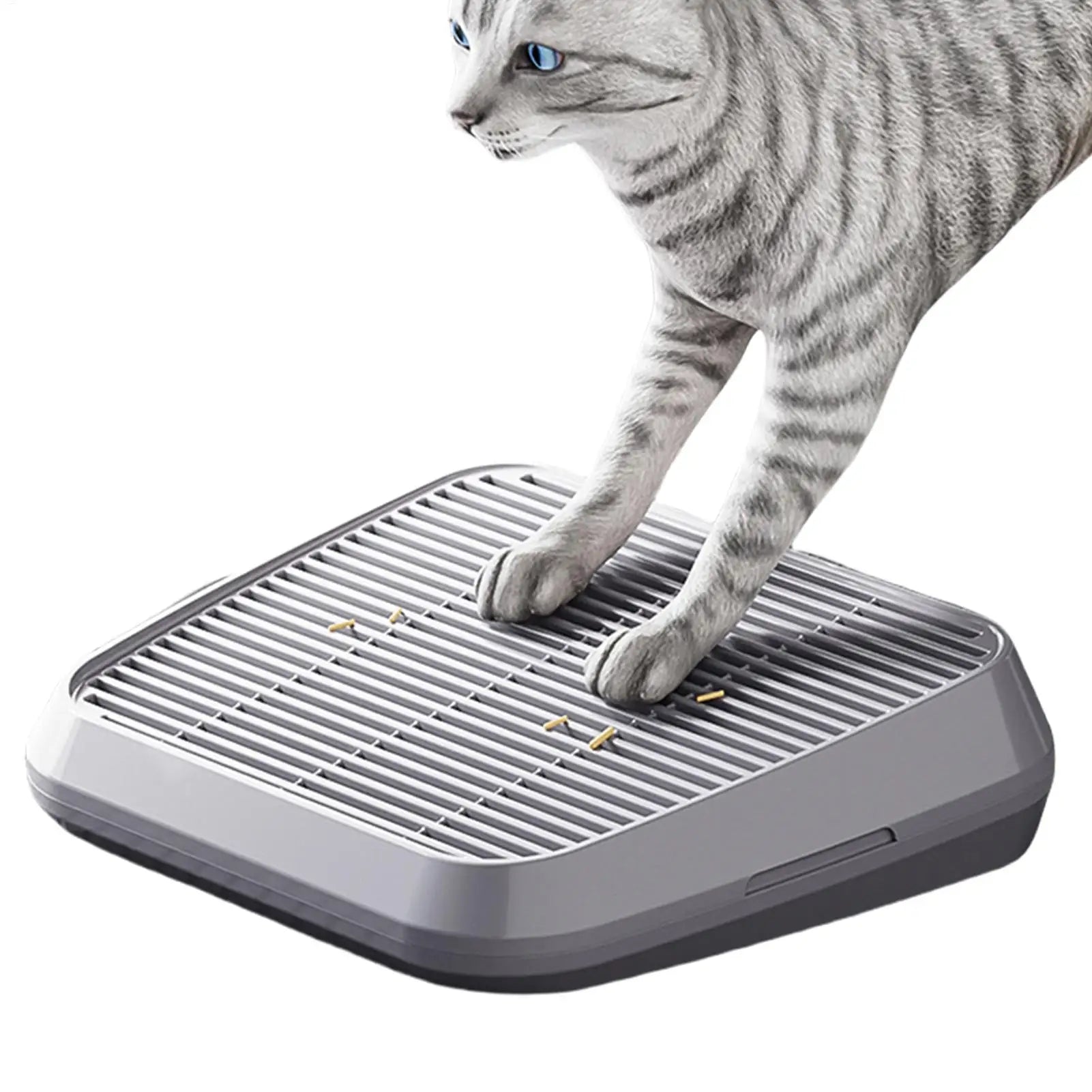 Litter Box Step Cat Litter Catcher Ramp Box Double Layer Elevated Tray with Filter Function Non-Slip Trapper Easy Cleaning