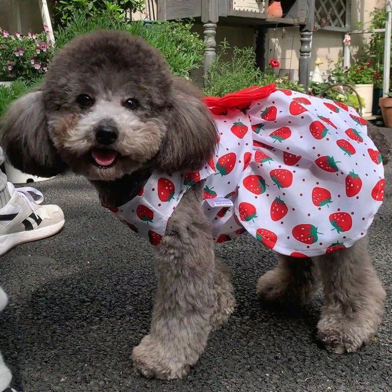 Thin Pet Dress for Dogs Cats - Cute Floral Print Princess Dress with Bow, New Style Puppy Skirt for Teddy Small Pets