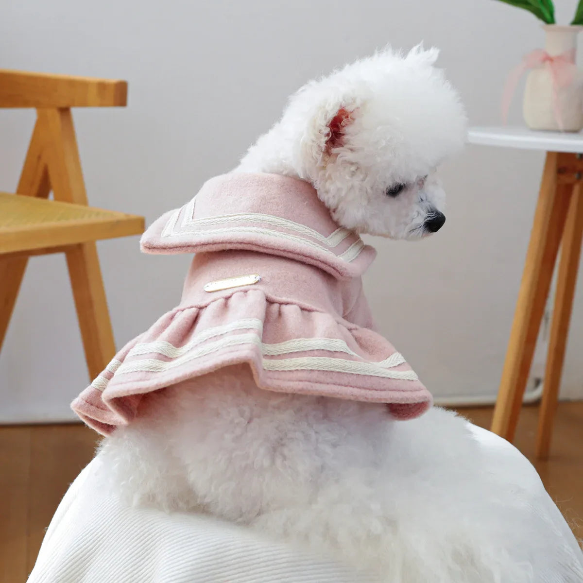 Pet Dress, Dog Cat Fur Coat, Autumn and Winter Warm Princess Dress Cute Thick Dress Dog Dresses for Small Dogs Puppy